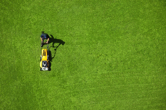 Lawn mowing service